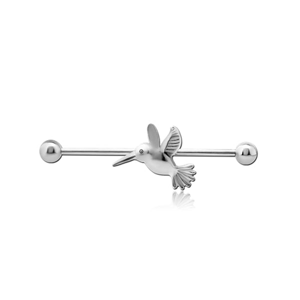 Hummingbird Silver Stainless Steel Industrial Scaffold Barbell