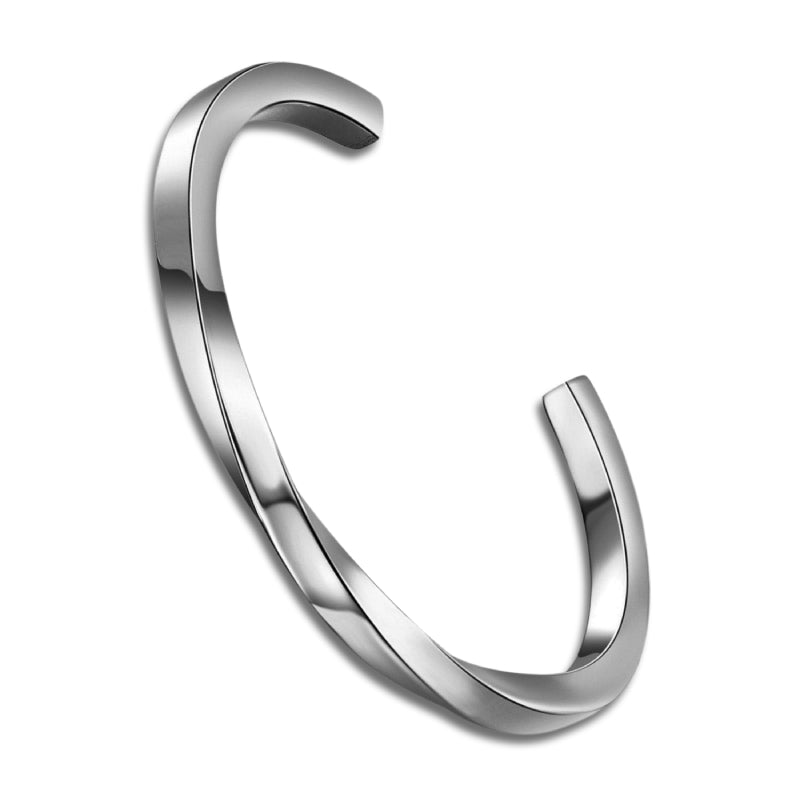 Single Twist Silver Stainless Steel Bangle